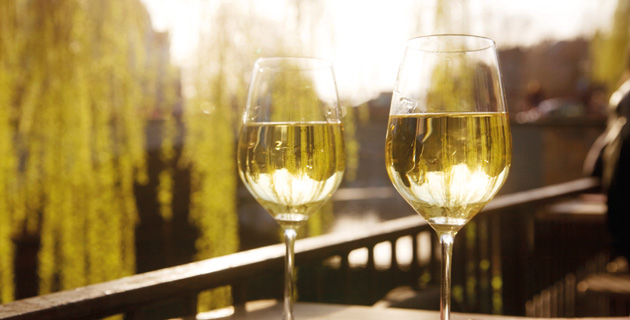 Die neuen Wein-Trends für den Sommer 2015