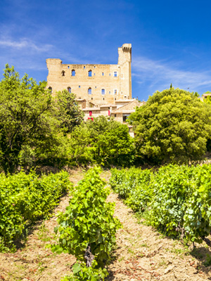 Aus der Provence stammen einige der begehrtesten Roséweine (Bild: Châteauneuf-du-Pape)