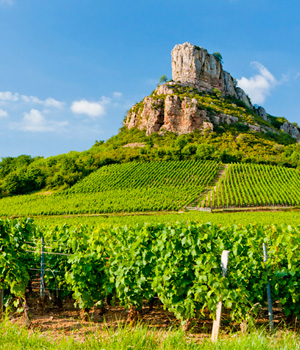 LGCF wird nun auch Weine aus dem Burgund anbieten können
