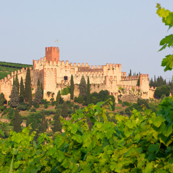 In der Region um Verona hat Weinbau schon eine sehr lange Tradition.