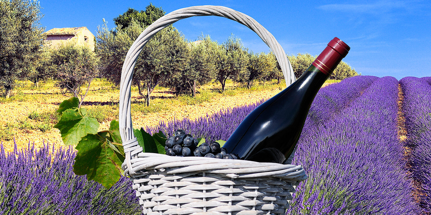 La Belle Vie en France – die Weinregion Provence