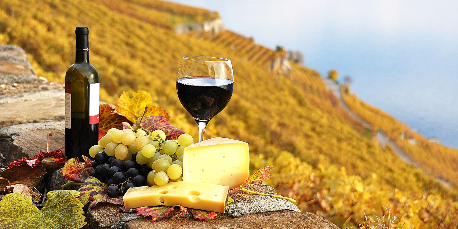Kleiner Ratgeber – Wein und Käse gut kombiniert