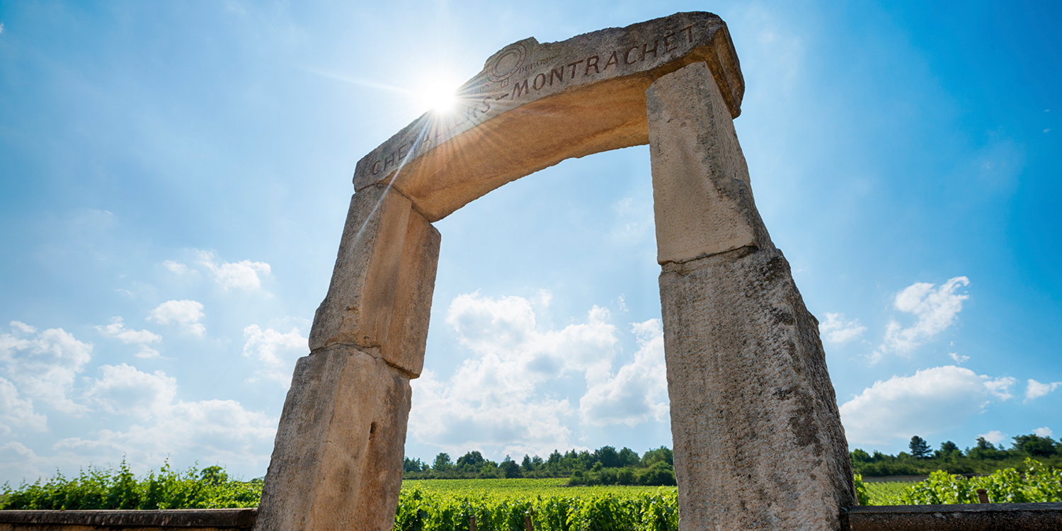 Berühmte Weinlagen – Le Montrachet (Bourgogne)