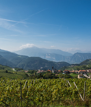 Das Trentino bietet eine facettenreiche Vielfalt was Natur und Wein angeht