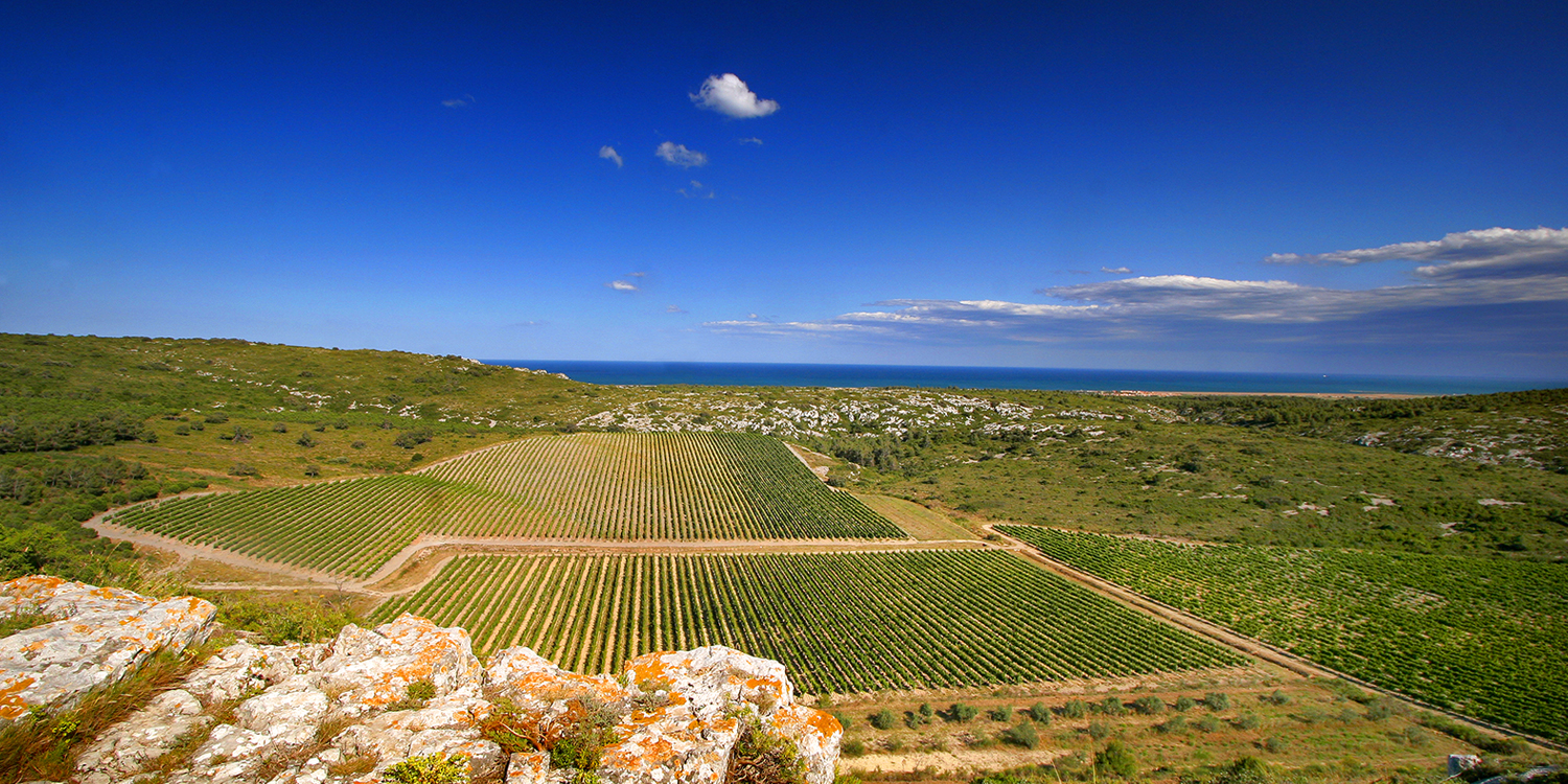 Languedoc-Roussillon – Wein vom Mittelmeer