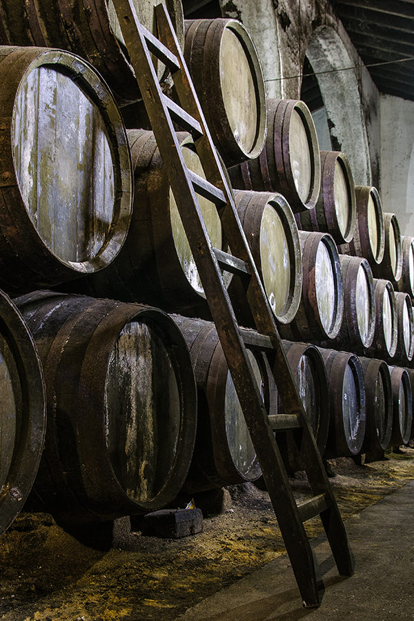 Sherry-Fässer findet man in Jerez in unzähligen Kellern