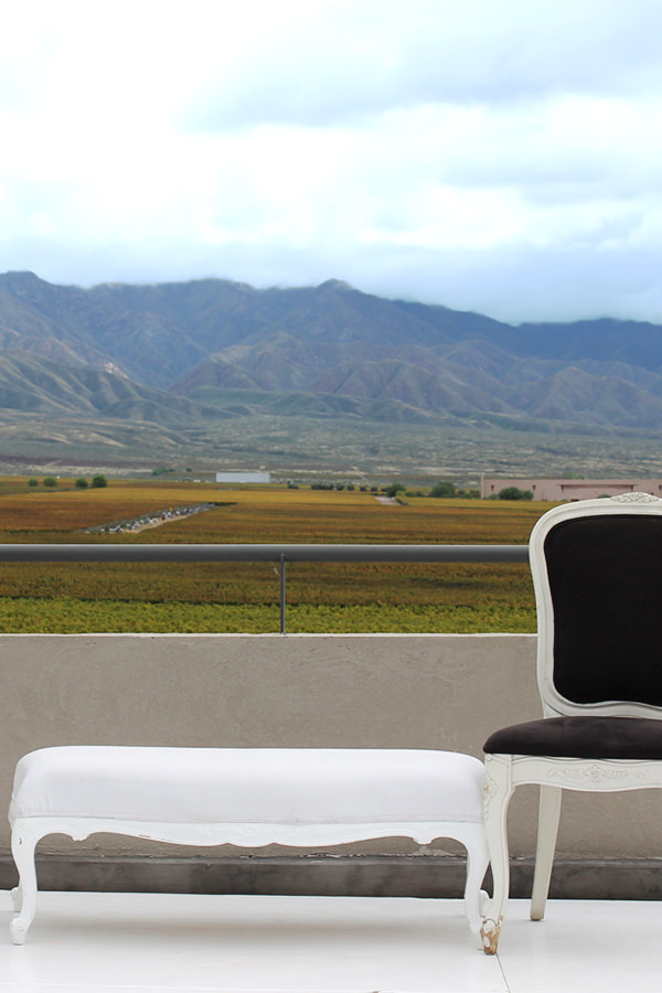 Ausblick in der Weinregion Mendoza