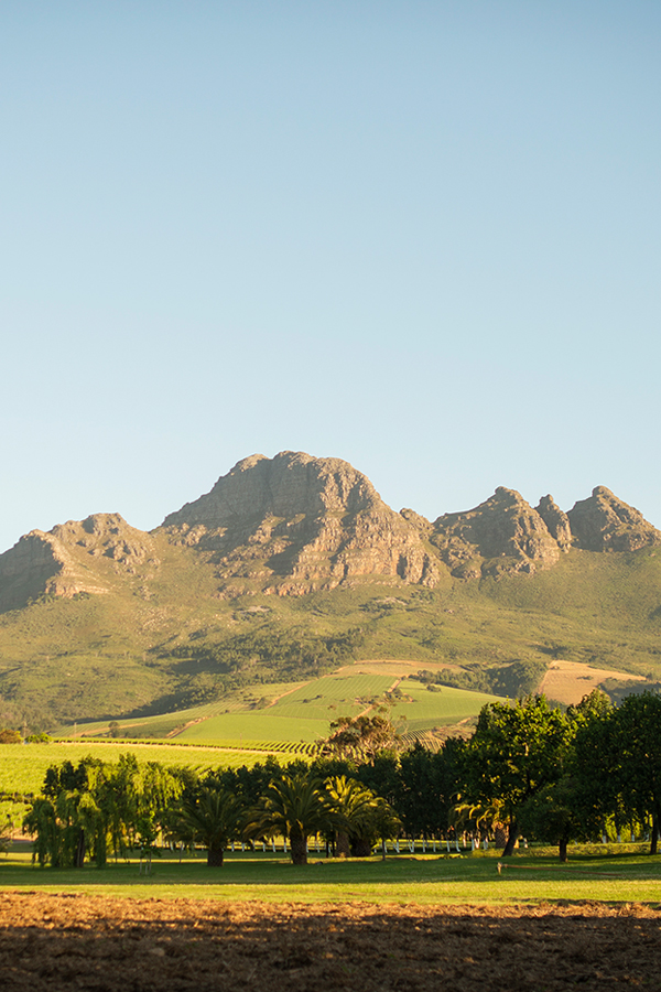 Die Helderberg Mountains im Herzen Stellenboschs