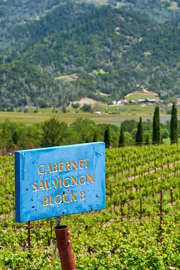 Der Private Reserve Cabernet Sauvignon ist noch heute das Aushängeschild des Hauses